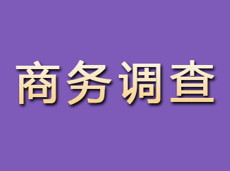 镇沅商务调查