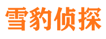 镇沅市私家侦探